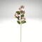 Light Purple Blossom Stem Real Touch 23.5 Inch Faux Flower-17274A-PU